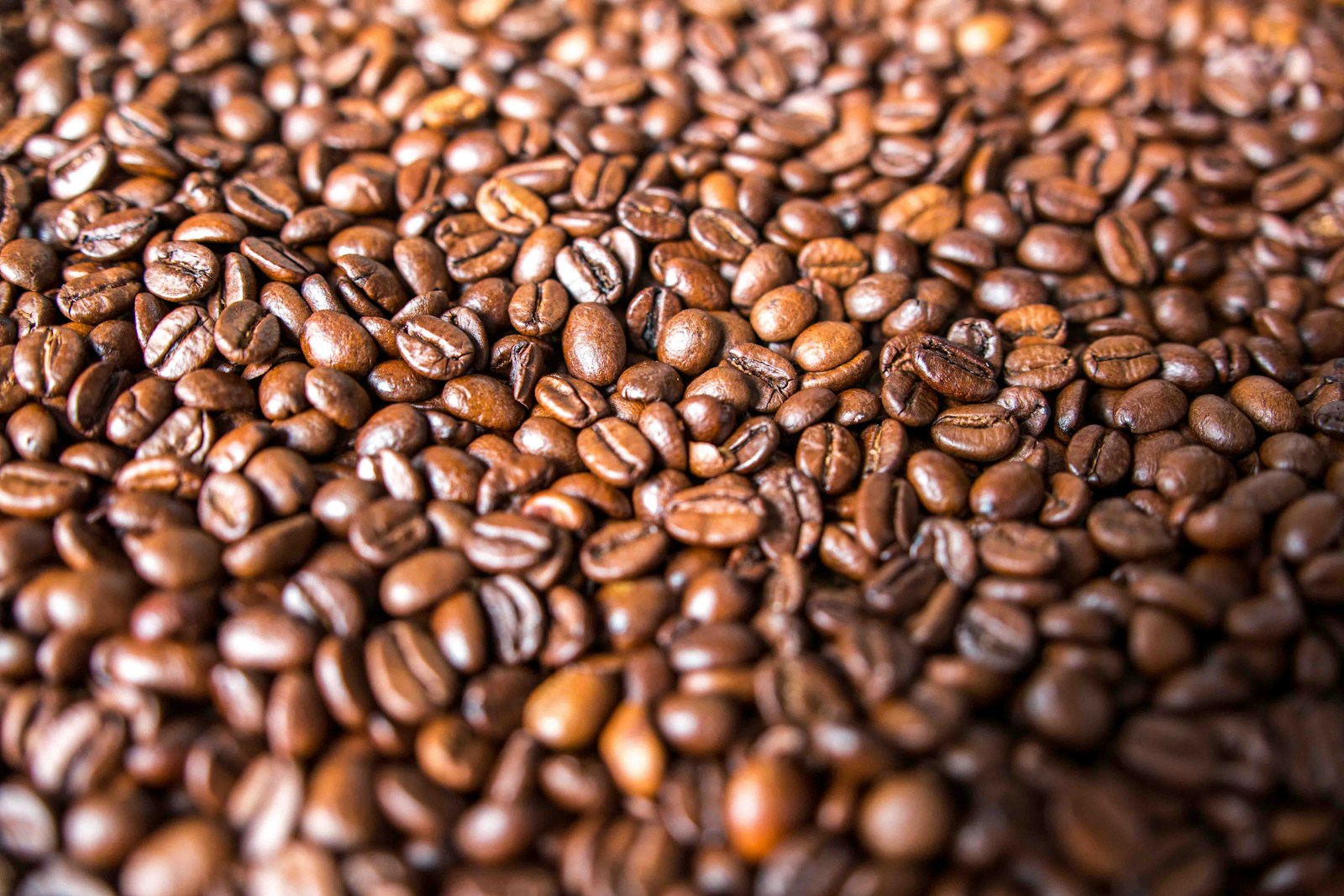 Jak czyścić ekspres do kawy i jak o niego prawidłowo dbać?