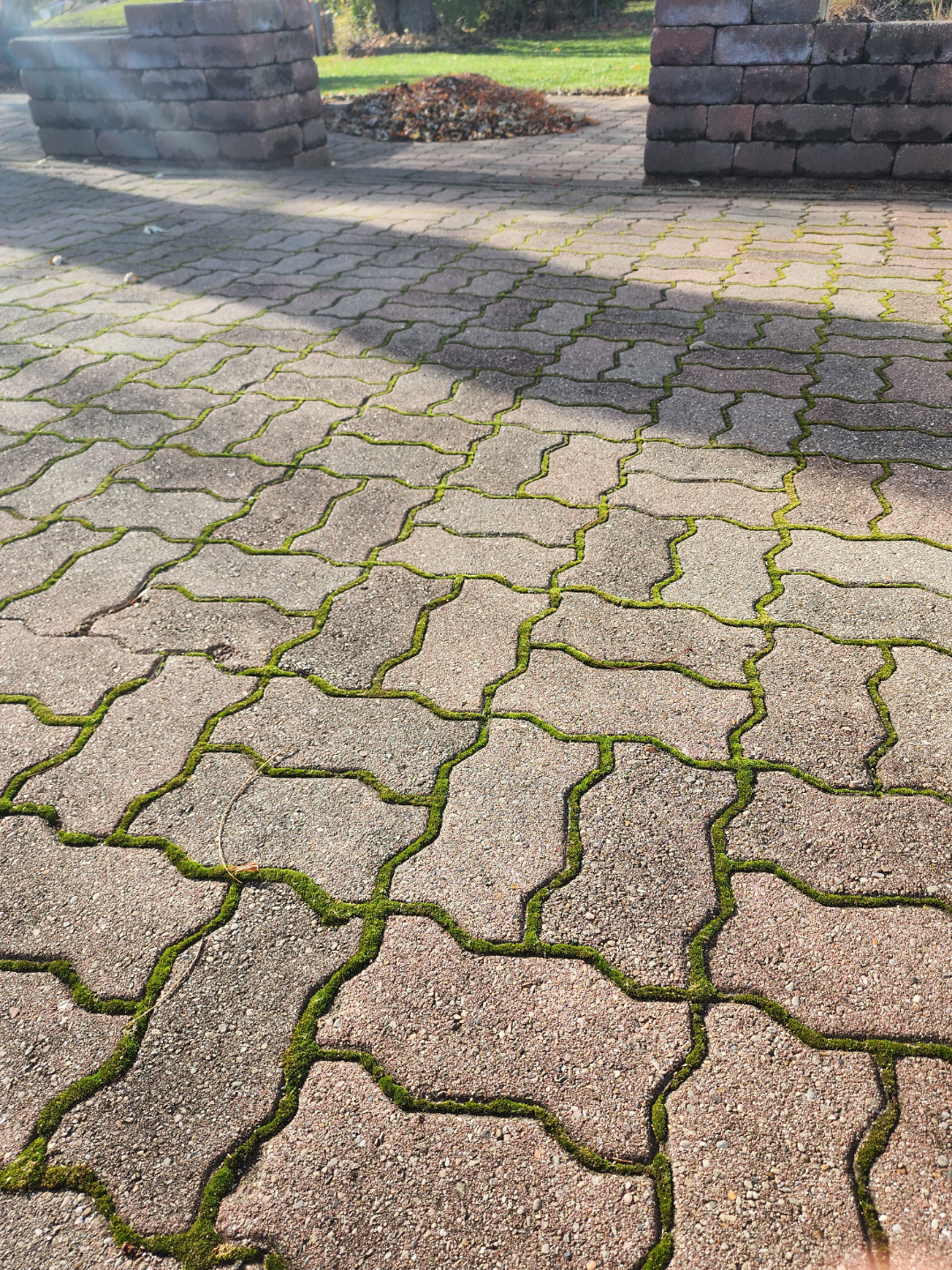 siatka geowłóknina układana pod kostką dla zapobiegania mchowi